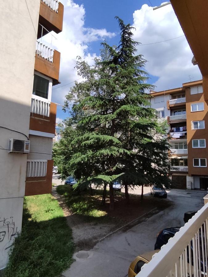 Marko'S Apartment Ohrid Exterior photo
